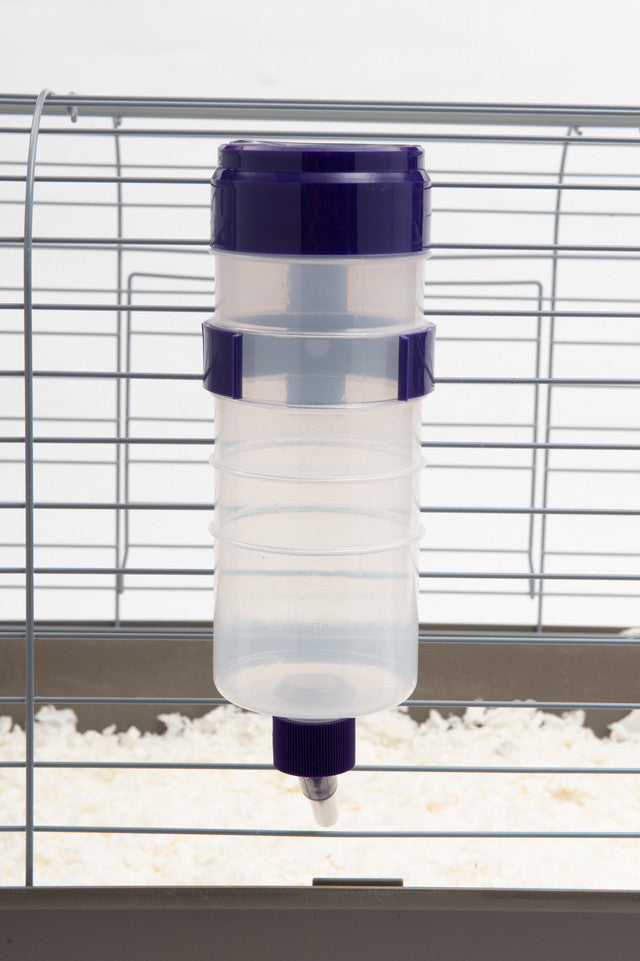 Lixit Quick Lock Flip Top Water Bottle