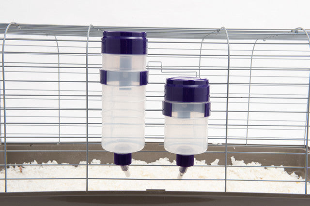 Lixit Quick Lock Flip Top Water Bottle