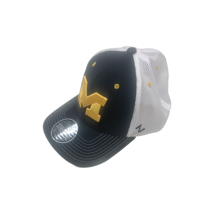 Michigan Wolverines Strech Fit Hat