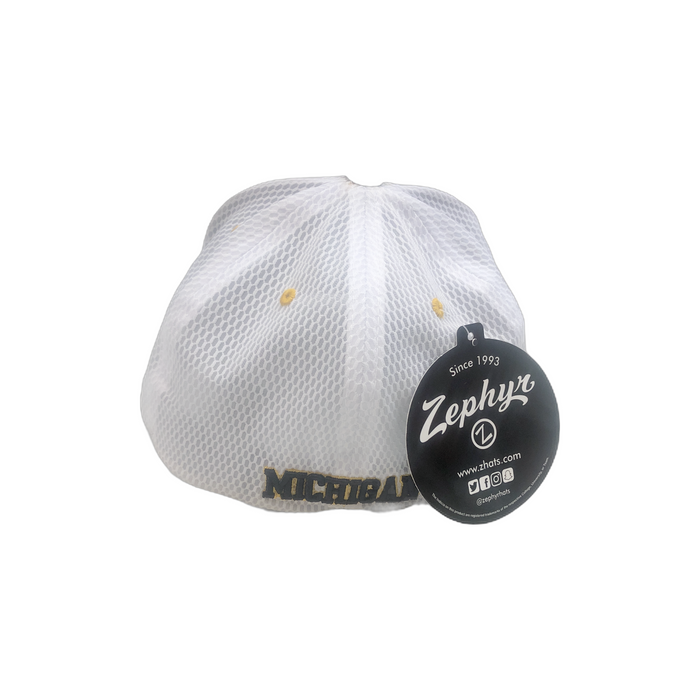 Michigan Wolverines Strech Fit Hat