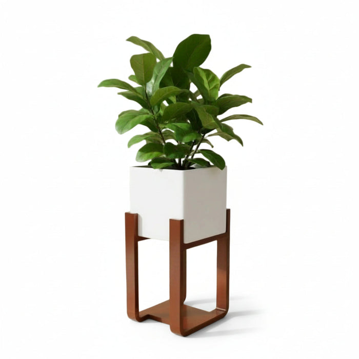 0701 White Square Pot on Stand -  WB,Isometric pose