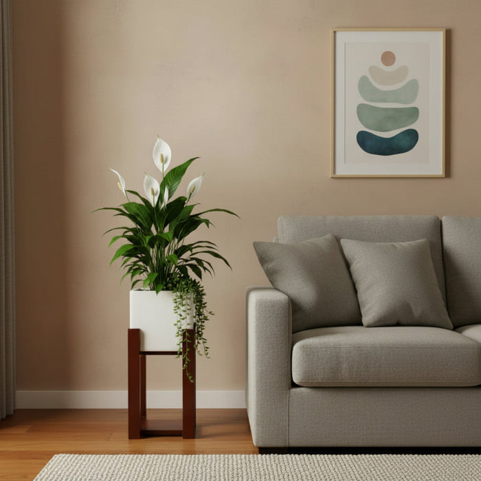 Mid-Century Square Cube Floor Planter With Curved Stand