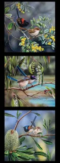 Natalie Jane Parker Fabric Panel - 3 Australian Birds on Black Background DV5094