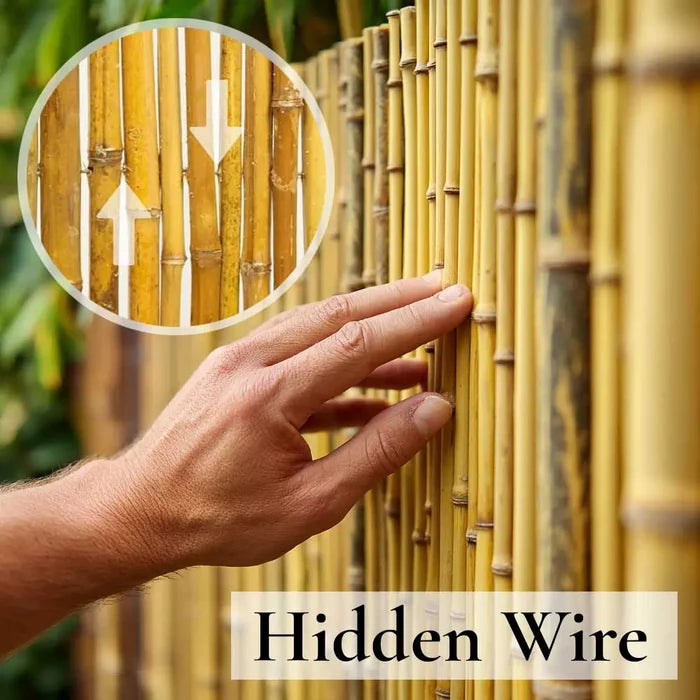 Natural Premium 2-4cm Thick Bamboo Cane Fencing Screening Rolls