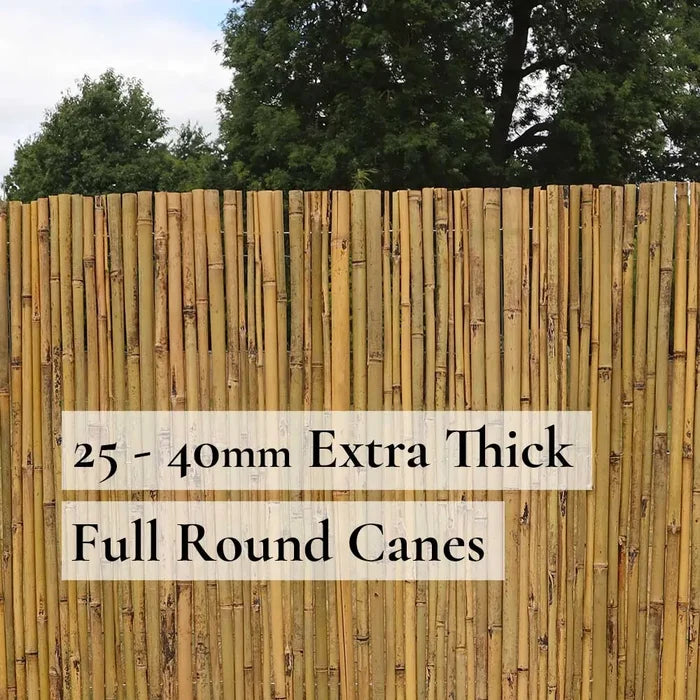 Natural Premium 2-4cm Thick Bamboo Cane Fencing Screening Rolls