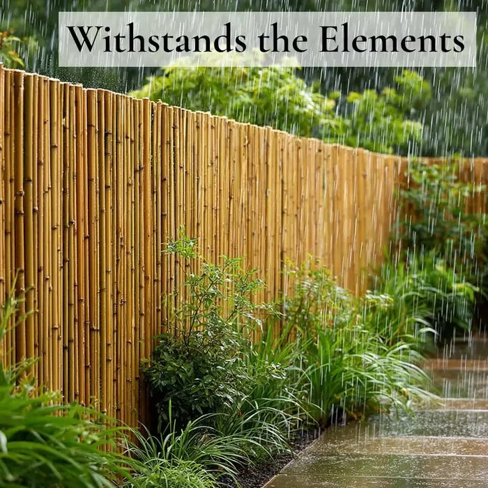 Natural Premium 2-4cm Thick Bamboo Cane Fencing Screening Rolls