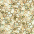 Ocean Fantasy - Tidepool in Shell