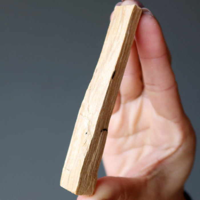 palo santo stick in hand
