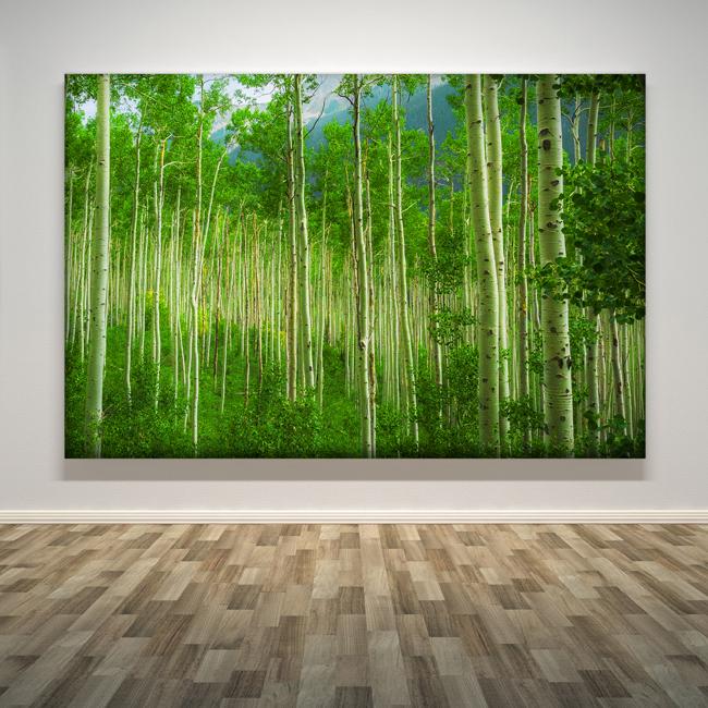 "pano"