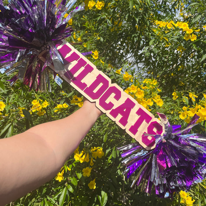 Pompom Spirit Stick