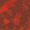 Robert Kaufman - Mixed Metallics - Red and Gold