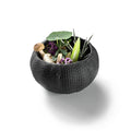 Sea Urchin Dish - Black 8cm textured bowl with vegetables on a white background