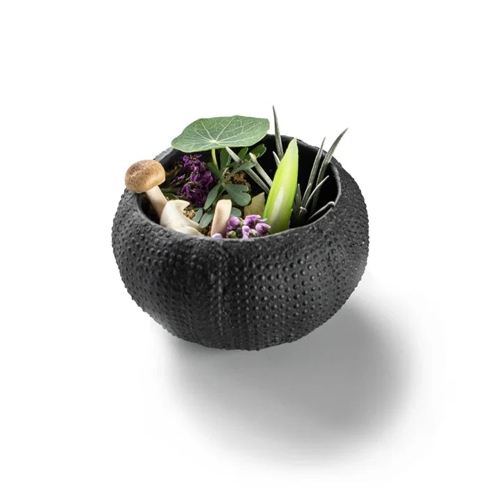 Sea Urchin Dish - Black 8cm textured bowl with vegetables on a white background