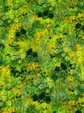 Sunlit Garden - Green