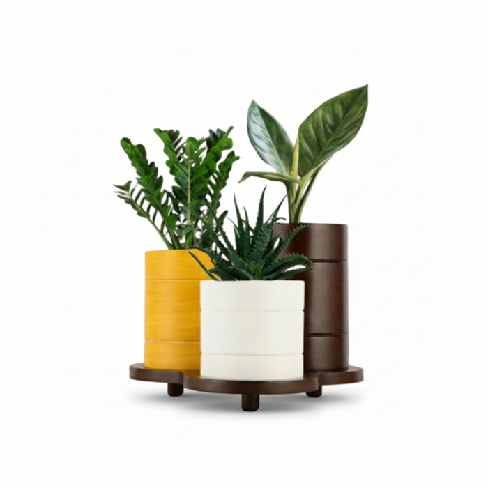 Trio Pot  Multicolor Tabletop Planter Set And Desk Organizer