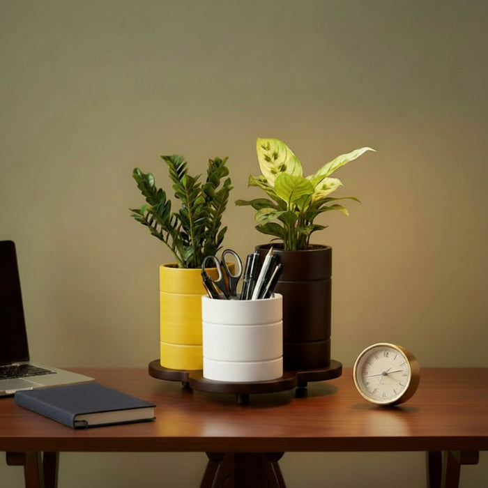 Trio Pot  Multicolor Tabletop Planter Set And Desk Organizer