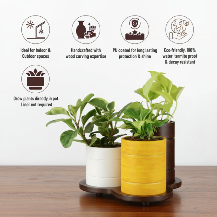 Trio Pot  Multicolor Tabletop Planter Set And Desk Organizer