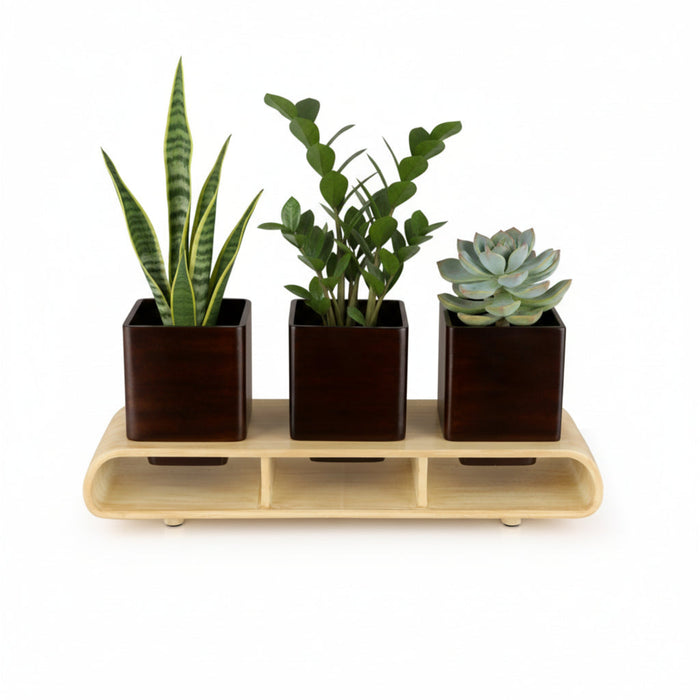 Trio Square Dark Brown Planter Set And Desk Organizer With Curved Stand