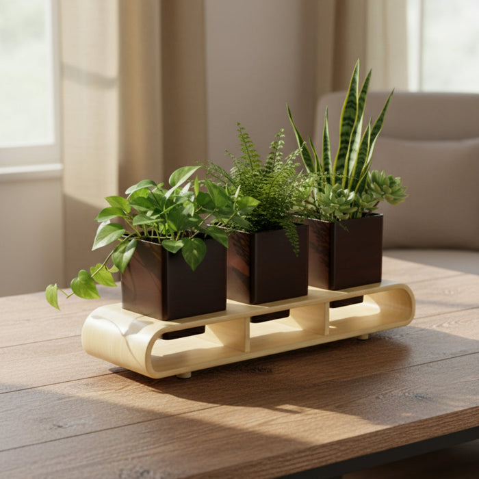 Trio Square Dark Brown Planter Set And Desk Organizer With Curved Stand