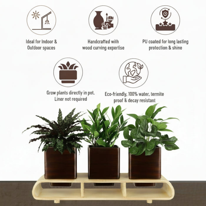 Trio Square Dark Brown Planter Set And Desk Organizer With Curved Stand