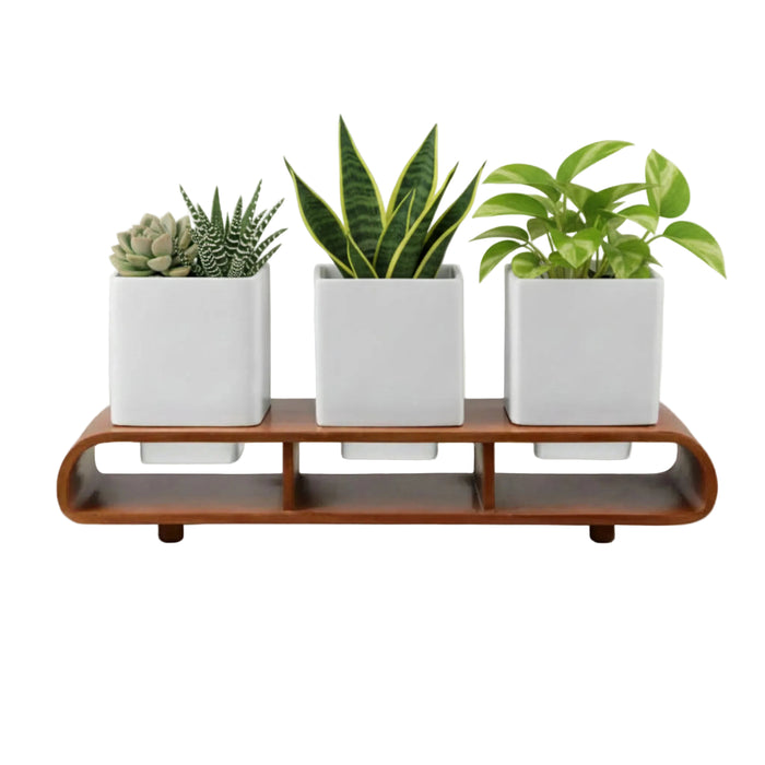 Trio Square White Planter Set And Desk Organizer With Curved Stand