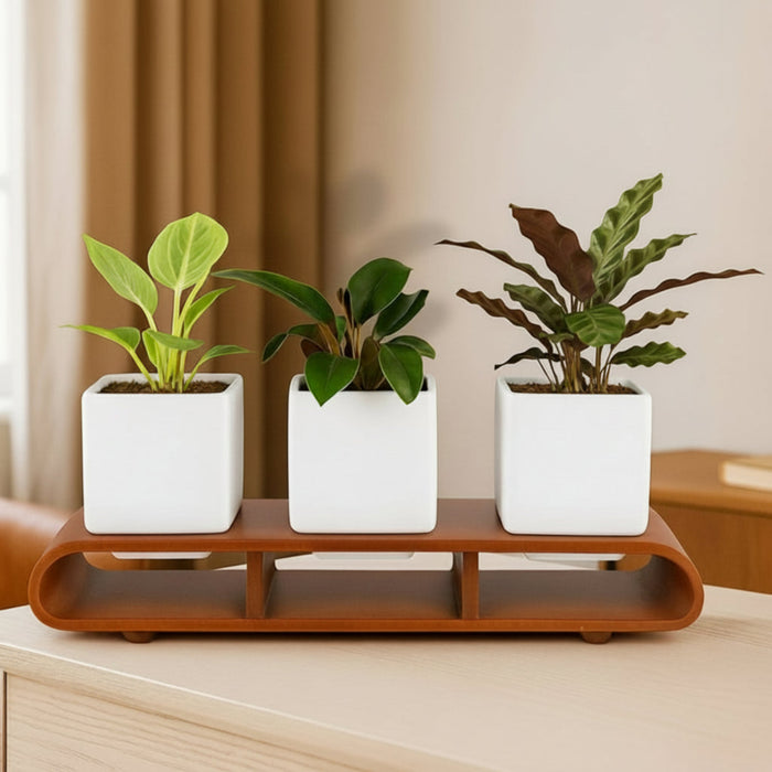 Trio Square White Planter Set And Desk Organizer With Curved Stand