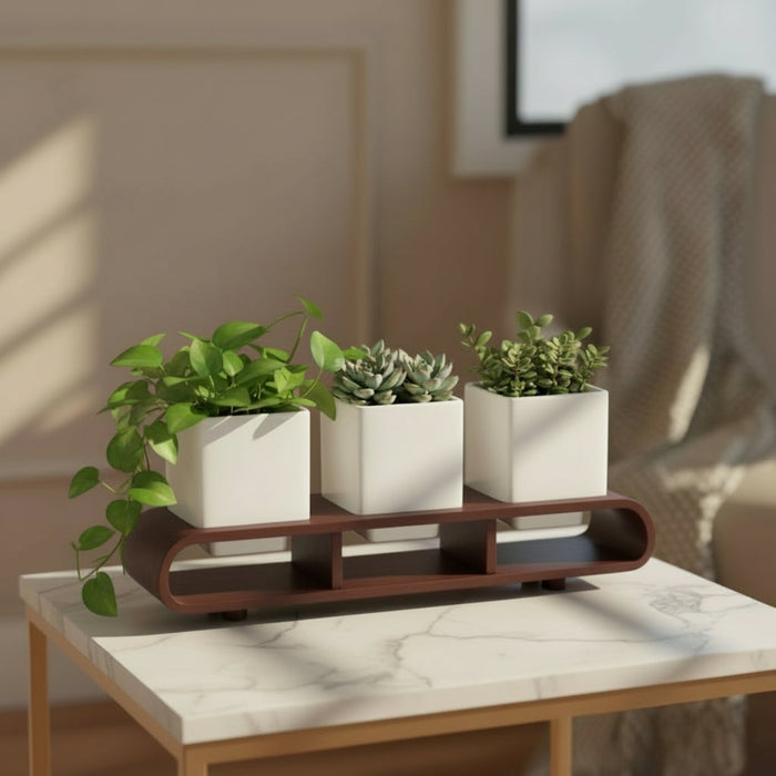 Trio Square White Planter Set And Desk Organizer With Curved Stand