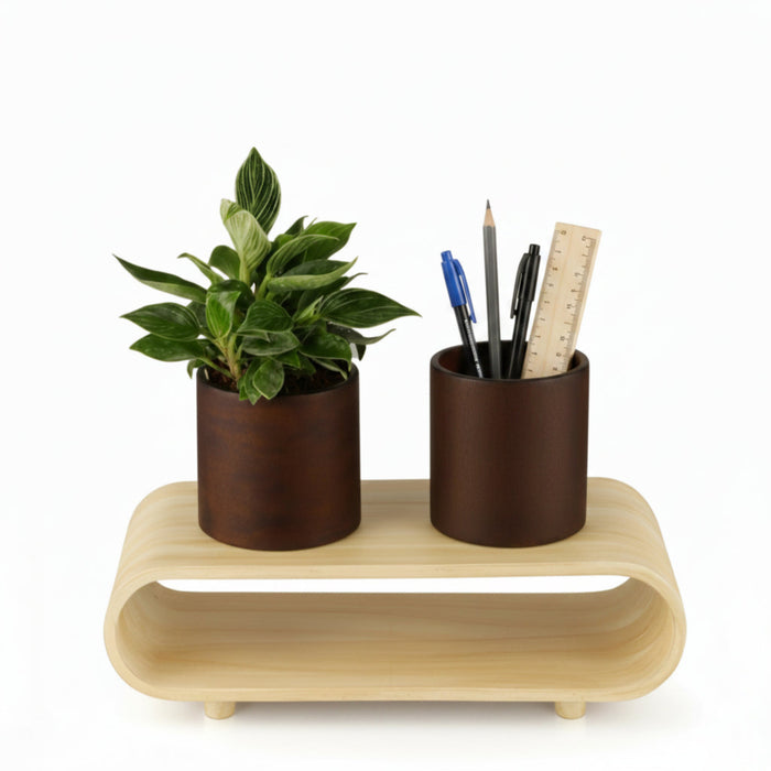 Twin Duo Dark Brown Planter Set And Desk Organizer With Curved Stand