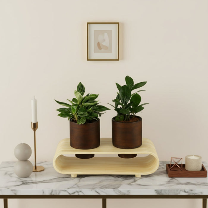 Twin Duo Dark Brown Planter Set And Desk Organizer With Curved Stand