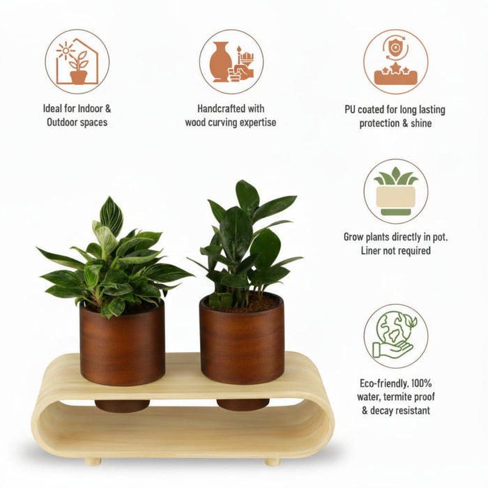 Twin Duo Dark Brown Planter Set And Desk Organizer With Curved Stand