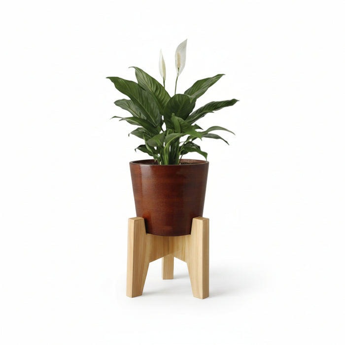 Vera Classy Dark Brown Round Tabletop Planter With Stand