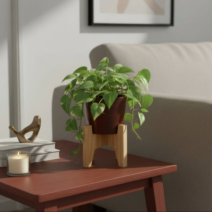 Vera Classy Dark Brown Round Tabletop Planter With Stand