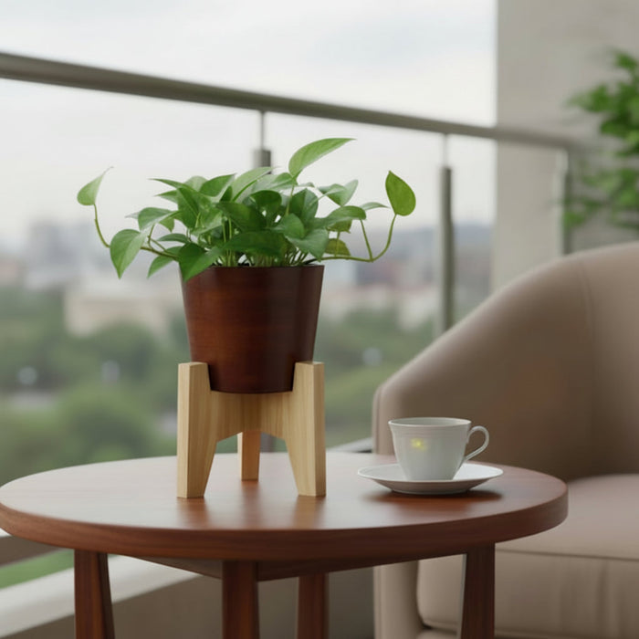 Vera Classy Dark Brown Round Tabletop Planter With Stand