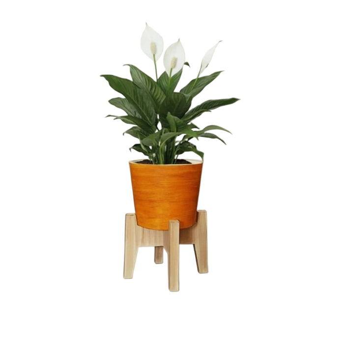 Vera Classy Round Tabletop Planter Pot With Stand - Vivid Orange & Sea Green