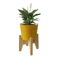Vera Classy Round Tabletop Planter With Stand - Lemon Yellow & Vibrant Pink