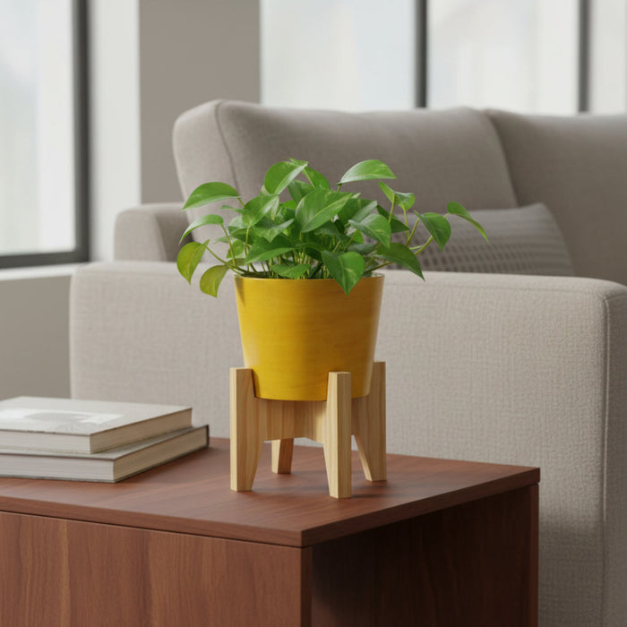 Vera Classy Round Tabletop Planter With Stand - Lemon Yellow & Vibrant Pink