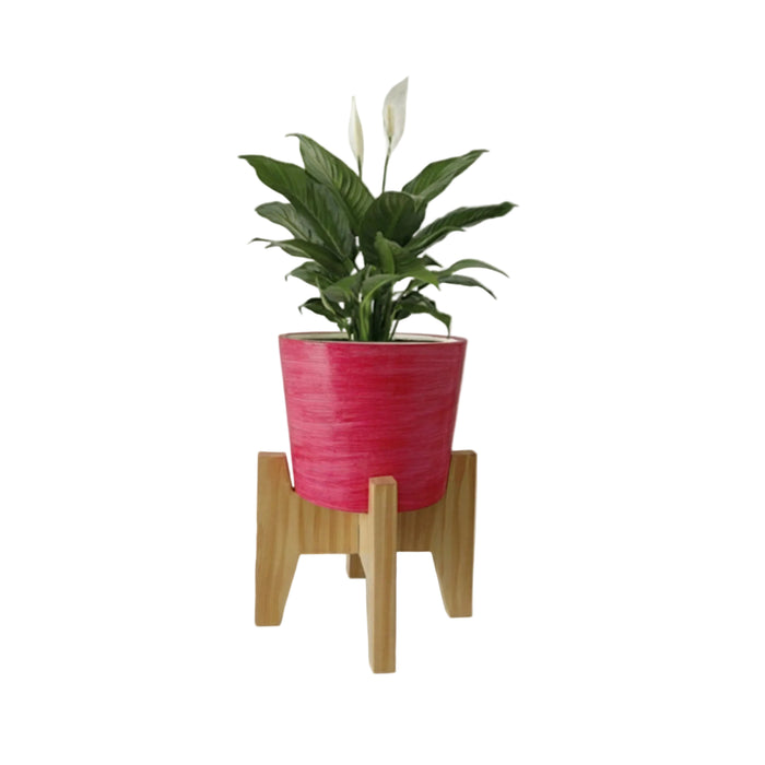 Vera Classy Round Tabletop Planter With Stand - Lemon Yellow & Vibrant Pink