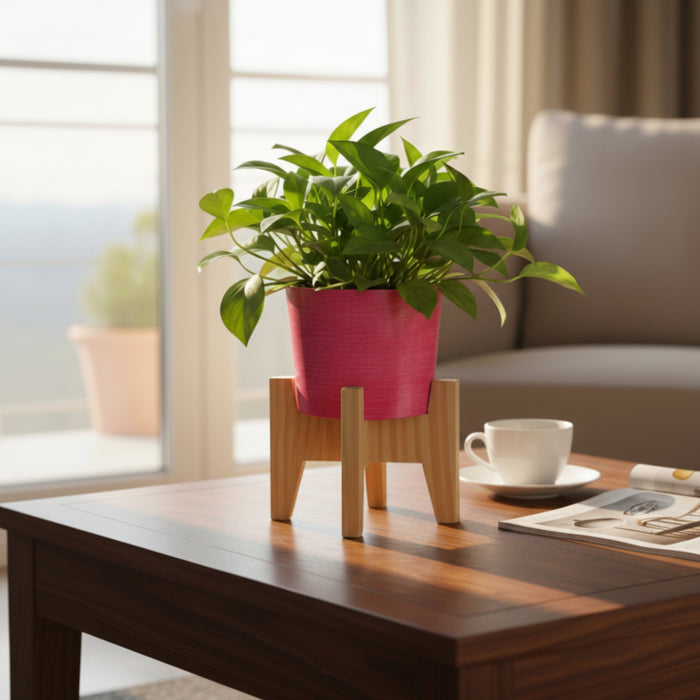 Vera Classy Round Tabletop Planter With Stand - Lemon Yellow & Vibrant Pink