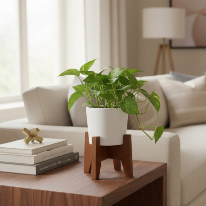 Vera Classy White Taper Round Desk Planter Pot With Stand