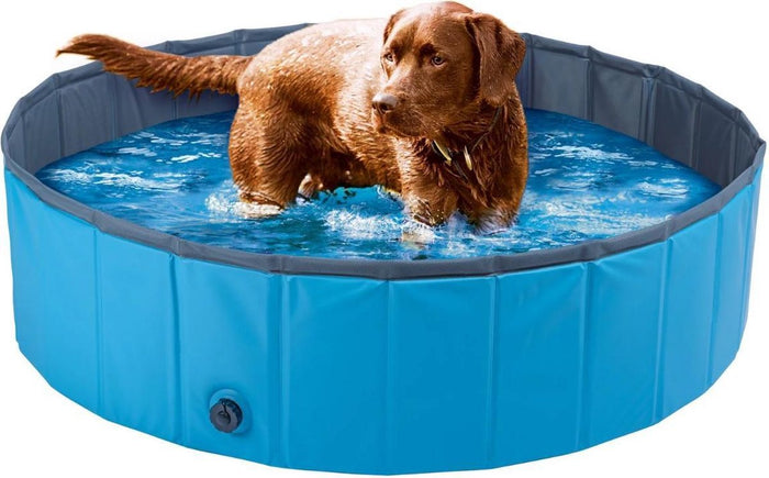 Zoofari Dog Pool