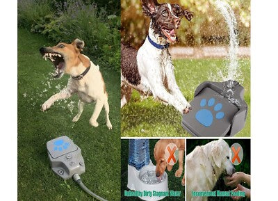 Zoofari Step-On Water Fountain